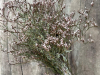 erasmusova-mobilnost-v-spaniji_30592924506